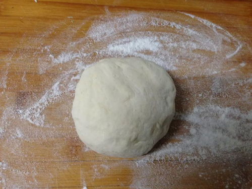 除了巧克力,還有這15種食物千萬不要給自己的狗狗吃